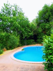 a blue swimming pool with trees in the background at CasaVacanza Borgo Cenaioli tra Toscana e Umbria Lago Trasimeno in Sant Arcangelo