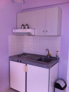 Η κουζίνα ή μικρή κουζίνα στο Vasila seaview +13 φωτογραφίες