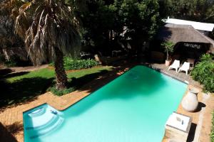 a swimming pool in a yard with a palm tree at Fin and Feather Guest Lodge in Boksburg