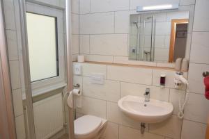 a bathroom with a sink and a toilet and a mirror at Landhotel Steigerwaldhaus in Burghaslach