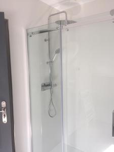 a shower with a glass door in a bathroom at Venasque Vue Apartment in Saint-Mamet +31 photos