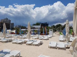 un montón de tumbonas y sombrillas en una playa en Studio Tia, en Mamaia