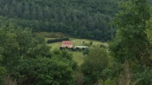 Příroda nedaleko bed and breakfast