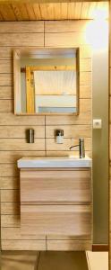 een badkamer met een wastafel en een spiegel bij Atlanticvilla in Hourtin