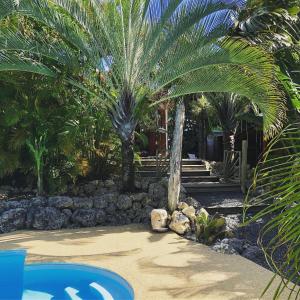 Der Swimmingpool an oder in der Nähe von Ti coin paradis