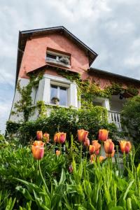 a house with a bunch of flowers in front of it at l'abri du viaduc in Saint-Satur
