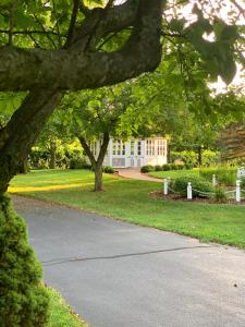 A garden outside Biddle Point Inn