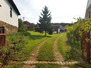 un camino de tierra en un patio al lado de una casa en Green Apartments, en Kuršumlija