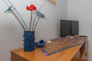TV a/nebo společenská místnost v ubytování Apartment Svorcan