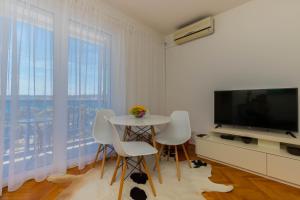 TV a/nebo společenská místnost v ubytování Apartment Svorcan