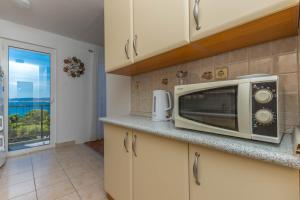 Kuchyň nebo kuchyňský kout v ubytování Apartment Svorcan