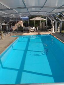 une grande piscine bleue avec un parasol dans l'établissement Chez Michel et Sylviane gite2, à Sélestat