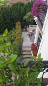 Giardino di Vila Sentić