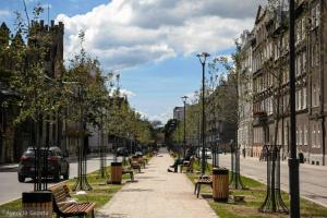 chodnik z ławkami i drzewami na ulicy miejskiej w obiekcie Willow Old Town Apartment w Gdańsku