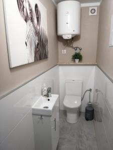 uma casa de banho com um WC e uma imagem de uma zebra em Przy ratuszu em Świebodzin