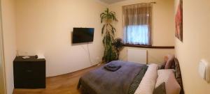1 dormitorio con 1 cama y TV en la pared en Szent László, en Budapest