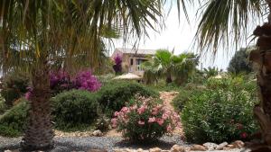 Zahrada ubytování Finca Alqueria Fosca