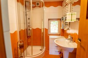 Kúpeľňa v ubytovaní Domek Brenna + 36 fotografií