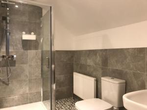 a bathroom with a shower and a toilet and a sink at Bush House Accommodation - The Distillery in Bushmills