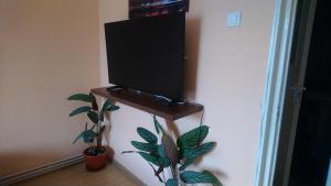 En tv och/eller ett underhållningssystem på Apartament Relax