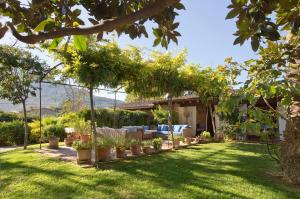 Сад в Finca Ca'n Quatre