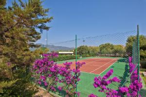 Tennis ja/või seinatennis majutusasutuses Residence Stella Di Gallura või selle läheduses