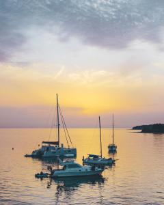 Gallery image of City Center Coastal Escape - Apartments with Sea View or Cozy Room in Novigrad Istria