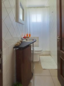 a bathroom with a sink and a toilet at epicenter PICO in Madalena