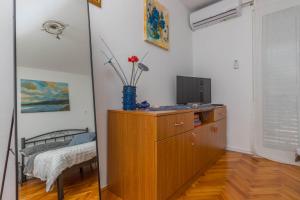 TV a/nebo společenská místnost v ubytování Apartment Svorcan