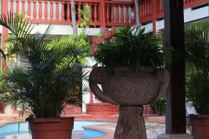 Fotografie z fotogalerie ubytování Hotel Buena Vista v destinaci Copan Ruinas