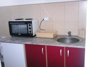 a microwave sitting on a counter next to a sink at Sava in Soko Banja
