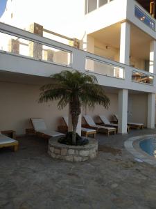 a palm tree in a courtyard next to a building at Creta Suites in Koutsounari