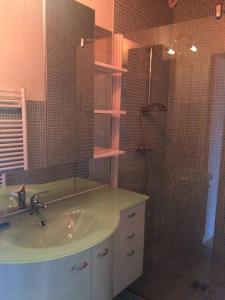 uma casa de banho com um lavatório e um chuveiro em Appartement l'Espérou em L'Espérou