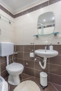a bathroom with a toilet and a sink and a mirror at Apartman Danica No.2 in Banja Koviljača
