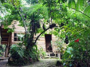 una cabina in legno al centro degli alberi di Paraiso Verde a Chijoú