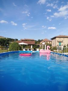 een zwembad met een roze praalwagen in het water bij Eli's House in Bolzano Novarese