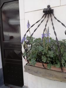 una caja de flores con flores púrpuras al lado de una puerta en Altevolte Rooms, en Catania
