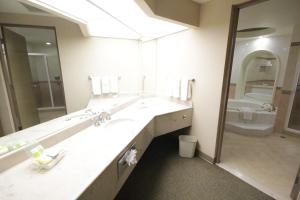 a bathroom with a sink and a toilet and a mirror at Holiday Inn Leon-Convention Center, an IHG Hotel in León