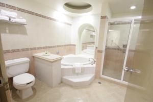 a bathroom with a tub and a toilet and a shower at Holiday Inn Leon-Convention Center, an IHG Hotel in Le&oacute;n