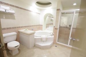 La salle de bains est pourvue d'une baignoire, de toilettes et d'une douche. dans l'établissement Holiday Inn Leon-Convention Center, an IHG Hotel, à León