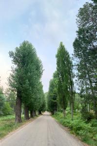 Príroda v okolí apartmánu