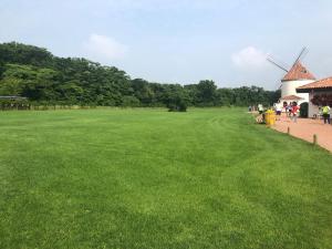 Zahrada ubytování Seogwipo JS Hotel