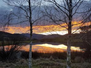 um pôr-do-sol sobre um corpo de água com duas árvores em Jamieson Valley Retreat em Howqua