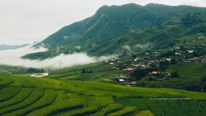 サパにあるJoy House Indigo Batikの霧のかかった山のある緑の丘の中腹にある村 +30枚の写真