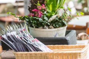 a basket of magazines on a table with a potted plant at Schützenhaus Bondorf in Bondorf