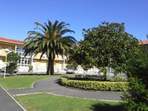 a palm tree and a walkway in front of a building at Apartamentos San Pedro en Llanes in Llanes