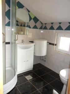 a bathroom with a shower and a sink and a toilet at Apartments Villa Marija in Gornji Karin