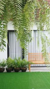 清邁的住宿－Bossotel Chiang Mai - SHA Plus，长凳坐在植物丛中的建筑物前面