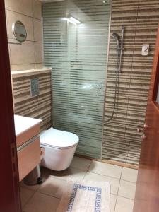 a bathroom with a toilet and a glass shower at Anthoulis Studios in Kefalos