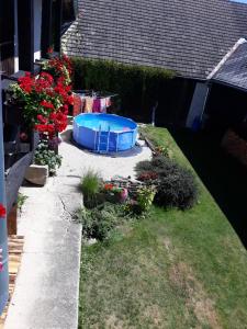uma pequena banheira azul num quintal com flores em Pension U Řehoutů em Horní Planá